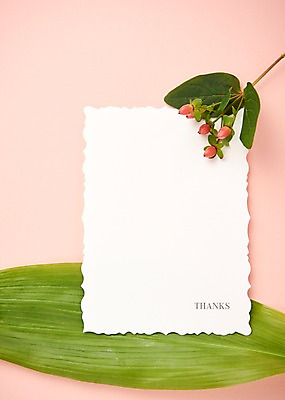 포토 JPG 스튜디오촬영 식물 꽃 종이 백그라운드 나뭇잎 프레임 사람없음 감사카드 감사 국내포토 감정 잎 카드_감사 실내 파일형식