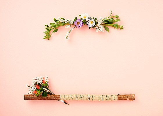 포토 JPG 스튜디오촬영 식물 꽃 백그라운드 나뭇잎 프레임 국화 사람없음 나뭇가지 내추럴 국내포토 나무 잎 실내 파일형식