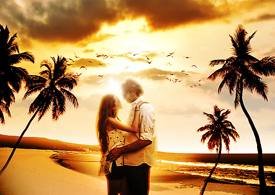 PSD 서양인 구름 편집 편집이미지 커플 여자 남자 여행 포옹 갈매기 하늘 상반신 20대 성인 해변 두명 옆모습 30대 야자수 마주보기 노을 성인만 이미지편집 자연요소 외국인 나무 바다 뷰포인트 관계 안기 모션 조류 사람 청년 장년 파일형식