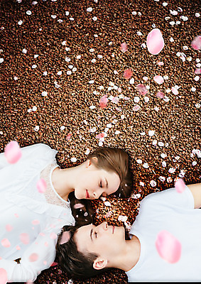 PSD 서양인 편집 편집이미지 커플 여자 남자 꽃잎 여행 상반신 20대 성인 두명 눕기 마주보기 성인만 이미지편집 외국인 꽃 관계 모션 사람 청년 파일형식