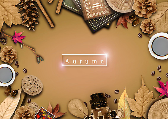 PSD 편집 편집이미지 커피 단풍 낙엽 자연 사람없음 책 카메라 원두 가을 나뭇가지 커피잔 도토리 솔방울 플랫레이 이미지편집 나무 계절 음료 잎 잔 전자제품 견과류 플랫 생태계 파일형식