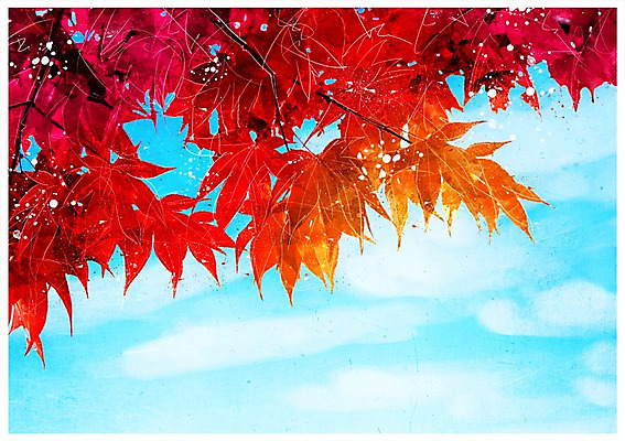 PSD 단풍 일러스트 하늘 수채화 풍경 사람없음 가을 나뭇가지 감성 국내일러스트 나무 계절 컨셉 잎 파일형식