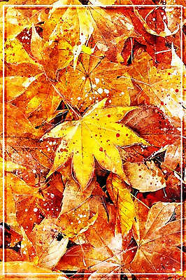 PSD 단풍 낙엽 일러스트 수채화 풍경 사람없음 가을 감성 국내일러스트 계절 컨셉 잎 파일형식