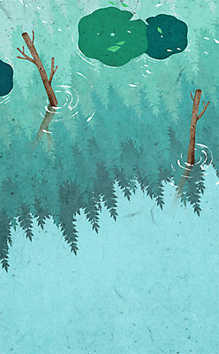 PSD 나무 계절 백그라운드 일러스트 그림자 사람없음 여름 반사 나뭇가지 연잎 국내일러스트 식물 잎 파일형식