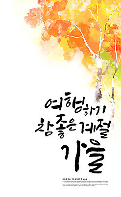 PSD 나무 손글씨 여행 단풍 일러스트 캘리그라피 단풍나무 한글 사람없음 가을 국내일러스트 식물 문자 계절 잎 파일형식