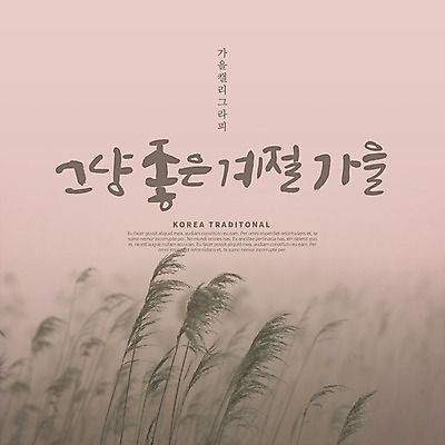 PSD 편집이미지 손글씨 캘리그라피 갈대 한글 사람없음 갈색 가을 이미지편집 식물 문자 계절 컬러 파일형식