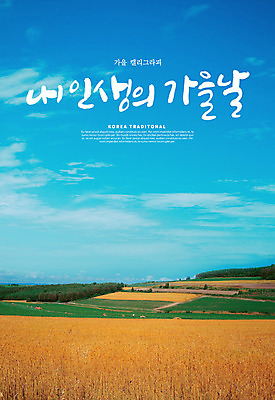 PSD 편집이미지 손글씨 캘리그라피 하늘 갈대 초원 한글 사람없음 가을풍경 가을 이미지편집 식물 문자 계절 풍경 파일형식 가을_계절