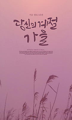 PSD 편집이미지 손글씨 캘리그라피 갈대 한글 사람없음 가을 이미지편집 식물 문자 계절 파일형식