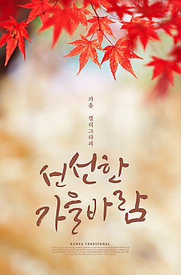 PSD 편집이미지 손글씨 단풍 캘리그라피 한글 사람없음 아웃포커스 가을 이미지편집 문자 계절 잎 촬영기법 파일형식