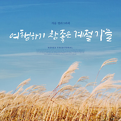 PSD 편집이미지 손글씨 캘리그라피 하늘 갈대 풍경 한글 사람없음 가을풍경 가을 이미지편집 식물 문자 계절 파일형식 가을_계절