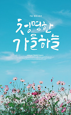 PSD 편집이미지 손글씨 캘리그라피 하늘 풍경 한글 사람없음 가을풍경 가을 코스모스 이미지편집 문자 계절 꽃 파일형식 가을_계절