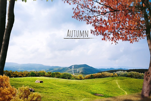 PSD 나무 편집이미지 백그라운드 단풍 하늘 단풍나무 프레임 풍경 사람없음 가을풍경 가을 언덕 이미지편집 식물 계절 잎 파일형식 가을_계절