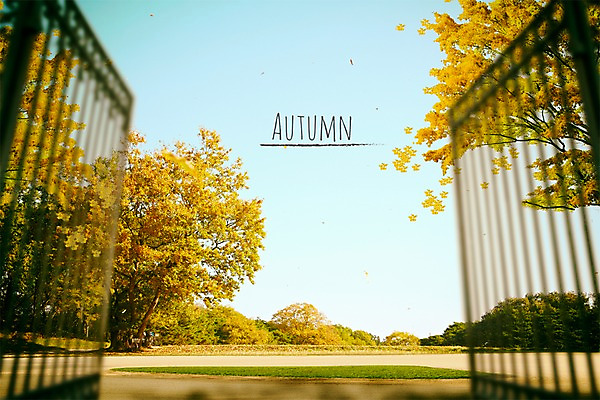 PSD 편집이미지 백그라운드 하늘 프레임 풍경 사람없음 문 가을풍경 정원 가을 은행나무 정문 이미지편집 나무 계절 파일형식 가을_계절