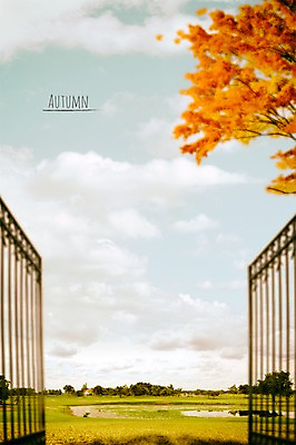 PSD 편집이미지 백그라운드 단풍 하늘 프레임 풍경 초원 사람없음 문 가을풍경 정원 가을 이미지편집 계절 잎 파일형식 가을_계절