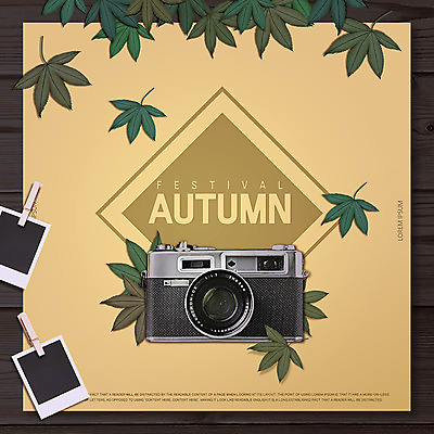 PSD 편집이미지 단풍 나뭇잎 사람없음 카메라 가을 빈티지 폴라로이드사진 이미지편집 계절 컨셉 잎 전자제품 폴라로이드 파일형식