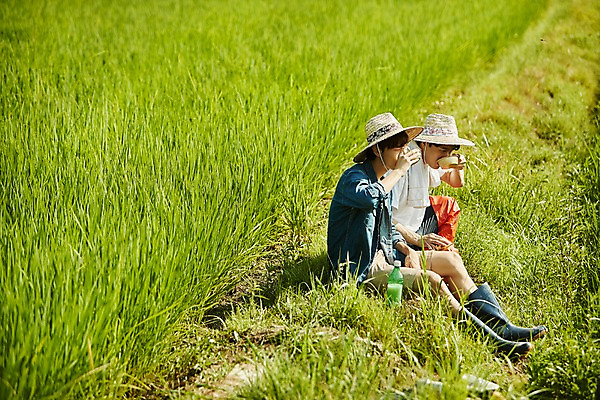 포토 JPG 주간 전신 남자 농업 사진 논 장화 앉기 20대 성인 야외 두명 옆모습 친구 농사 한국인 농촌 시골 농부 먹기 귀농 막걸리 논두렁 성인남자만 청년농부 국내포토 양주시 자연요소 직업 산업 뷰포인트 신발 관계 모션 주류 사람 동양인 청년 경기도 남자만 성인만 파일형식
