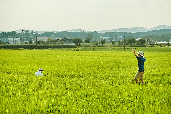 포토 JPG 주간 나무 남자 농업 사진 산 논 장화 서기 들기 앉기 상반신 20대 성인 야외 두명 옆모습 친구 농사 한국인 농촌 시골 농부 귀농 막걸리 논두렁 성인남자만 청년농부 국내포토 양주시 자연요소 식물 직업 산업 뷰포인트 신발 관계 모션 주류 사람 동양인 청년 경기도 남자만 성인만 파일형식