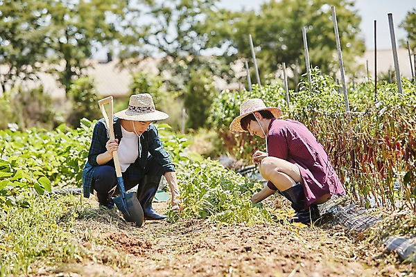 포토 JPG 주간 전신 남자 밭 농업 사진 앉기 20대 성인 야외 두명 앞모습 옆모습 아웃포커스 친구 농사 한국인 농촌 시골 농부 삽 귀농 밭일 성인남자만 청년농부 국내포토 양주시 자연요소 직업 산업 뷰포인트 관계 모션 촬영기법 사람 동양인 청년 경기도 남자만 성인만 파일형식