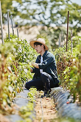 포토 JPG 주간 전신 남자 밭 농업 사진 한명 앉기 20대 성인 야외 옆모습 아웃포커스 농사 한국인 농촌 시골 농부 귀농 밭일 남자한명만 성인남자한명만 청년농부 국내포토 양주시 자연요소 직업 1 산업 뷰포인트 모션 촬영기법 사람 동양인 청년 경기도 남자만 성인남자만 파일형식 한국 인종 성인만 아시아 나라