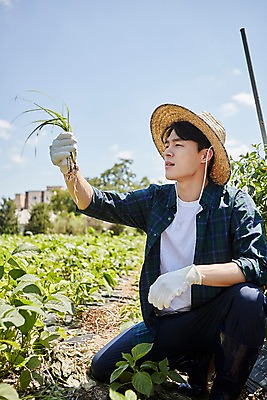 포토 JPG 주간 남자 밭 농업 사진 한명 앉기 상반신 20대 성인 야외 앞모습 농사 한국인 농촌 시골 농부 귀농 밭일 남자한명만 성인남자한명만 청년농부 국내포토 양주시 자연요소 직업 1 산업 뷰포인트 모션 사람 동양인 청년 경기도 남자만 성인남자만 파일형식