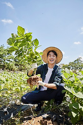 포토 JPG 주간 전신 남자 밭 농업 사진 한명 미소 들기 앉기 20대 성인 야외 앞모습 농사 한국인 농촌 시골 농부 귀농 밭일 남자한명만 성인남자한명만 청년농부 국내포토 양주시 자연요소 직업 1 산업 뷰포인트 모션 표정 사람 동양인 청년 경기도 남자만 성인남자만 파일형식