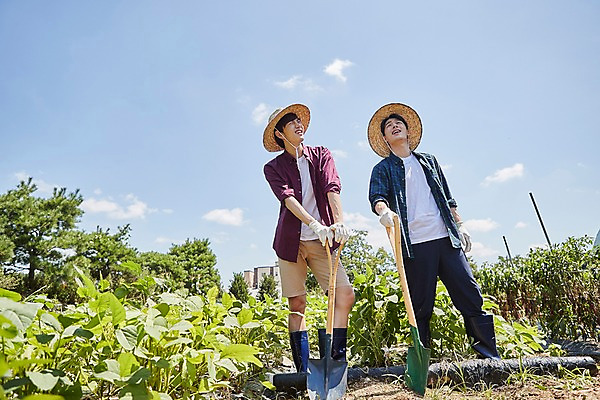 포토 JPG 주간 전신 남자 밭 농업 사진 서기 미소 들기 20대 성인 야외 두명 앞모습 친구 농사 한국인 농촌 시골 농부 삽 귀농 성인남자만 청년농부 국내포토 양주시 자연요소 직업 산업 뷰포인트 관계 모션 표정 사람 동양인 청년 경기도 남자만 성인만 파일형식