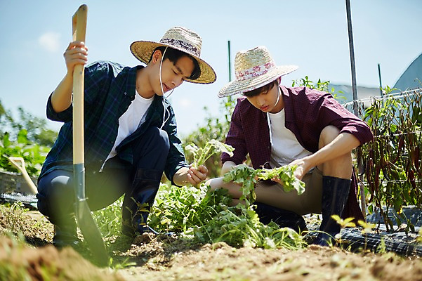 포토 JPG 주간 전신 남자 밭 농업 사진 앉기 20대 성인 야외 두명 앞모습 아웃포커스 친구 농사 한국인 농촌 시골 농부 삽 귀농 무청 밭일 성인남자만 청년농부 국내포토 양주시 자연요소 직업 산업 뷰포인트 관계 모션 촬영기법 사람 동양인 청년 경기도 남자만 성인만 파일형식