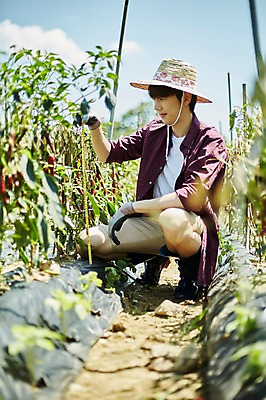 포토 JPG 주간 전신 남자 밭 농업 사진 고추 한명 미소 앉기 20대 성인 야외 앞모습 아웃포커스 농사 한국인 농촌 시골 농부 귀농 남자한명만 성인남자한명만 소상공인 청년농부 국내포토 양주시 자연요소 직업 1 산업 뷰포인트 채소 모션 촬영기법 표정 사람 동양인 청년 경제 상인 경기도 남자만 성인남자만 파일형식