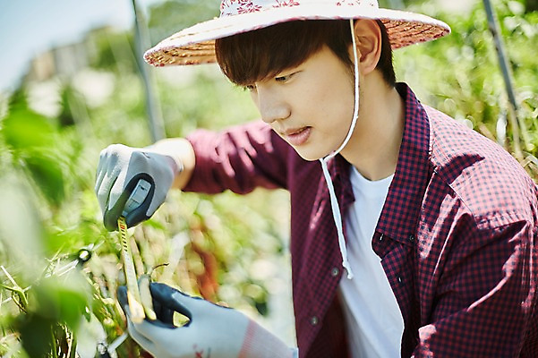 포토 JPG 주간 남자 밭 농업 사진 고추 한명 앉기 상반신 20대 성인 야외 옆모습 아웃포커스 농사 한국인 농촌 시골 농부 크기 눈금 귀농 남자한명만 성인남자한명만 소상공인 청년농부 국내포토 양주시 자연요소 직업 1 산업 뷰포인트 채소 모션 촬영기법 사람 동양인 청년 경제 상인 경기도 남자만 성인남자만 파일형식