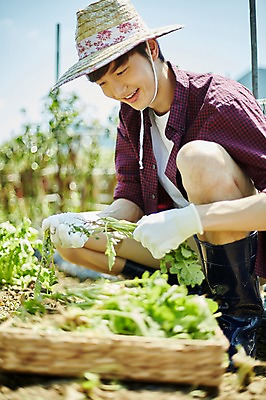 포토 JPG 주간 남자 밭 농업 사진 한명 앉기 상반신 20대 성인 야외 옆모습 아웃포커스 농사 한국인 농촌 시골 농부 귀농 무청 밭일 남자한명만 성인남자한명만 청년농부 국내포토 양주시 자연요소 직업 1 산업 뷰포인트 모션 촬영기법 사람 동양인 청년 경기도 남자만 성인남자만 파일형식