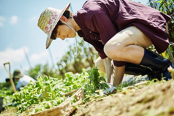 포토 JPG 주간 남자 밭 농업 사진 한명 앉기 상반신 20대 성인 야외 옆모습 아웃포커스 농사 한국인 농촌 시골 농부 귀농 무청 밭일 남자한명만 성인남자한명만 청년농부 국내포토 양주시 자연요소 직업 1 산업 뷰포인트 모션 촬영기법 사람 동양인 청년 경기도 남자만 성인남자만 파일형식
