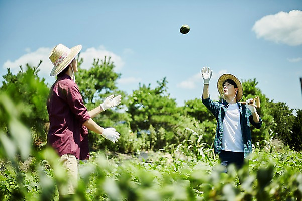 포토 JPG 주간 남자 밭 농업 사진 여름음식 수박 서기 상반신 20대 성인 야외 두명 앞모습 옆모습 아웃포커스 친구 농사 한국인 농촌 시골 던지기 농부 버리기 귀농 성인남자만 청년농부 제철음식 제철과일 국내포토 양주시 자연요소 직업 산업 음식 뷰포인트 과일 관계 모션 촬영기법 사람 동양인 청년 경기도 제철 남자만 성인만 파일형식 여름_계절