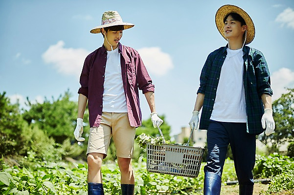 포토 JPG 주간 남자 밭 농업 사진 서기 미소 들기 상반신 20대 성인 야외 두명 앞모습 아웃포커스 친구 바구니 농사 한국인 농촌 시골 농부 귀농 성인남자만 청년농부 국내포토 양주시 자연요소 직업 산업 뷰포인트 관계 모션 촬영기법 표정 사람 동양인 청년 경기도 남자만 성인만 파일형식