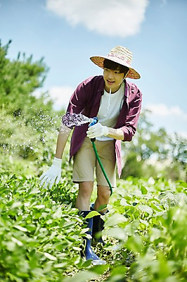 포토 JPG 주간 남자 밭 농업 사진 한명 서기 미소 들기 상반신 20대 성인 야외 앞모습 아웃포커스 농사 한국인 농촌 시골 농부 물주기 귀농 호스 남자한명만 성인남자한명만 청년농부 국내포토 양주시 자연요소 직업 1 산업 뷰포인트 모션 촬영기법 표정 사람 동양인 청년 경기도 남자만 성인남자만 파일형식