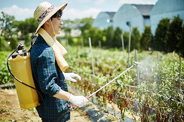 포토 JPG 주간 남자 밭 농업 사진 고추 한명 서기 미소 들기 상반신 20대 성인 야외 옆모습 아웃포커스 농사 한국인 농촌 시골 농부 귀농 농약 농약살포기 농약치기 남자한명만 성인남자한명만 소상공인 청년농부 국내포토 양주시 자연요소 직업 1 산업 뷰포인트 채소 모션 촬영기법 표정 사람 동양인 청년 경제 상인 분무기 경기도 남자만 성인남자만 파일형식