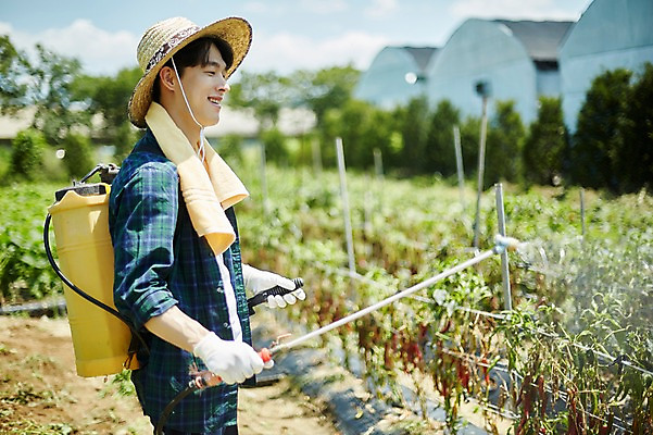 포토 JPG 주간 남자 밭 농업 사진 고추 한명 서기 미소 들기 상반신 20대 성인 야외 옆모습 아웃포커스 농사 한국인 농촌 시골 농부 귀농 농약 농약살포기 농약치기 남자한명만 성인남자한명만 소상공인 청년농부 국내포토 양주시 자연요소 직업 1 산업 뷰포인트 채소 모션 촬영기법 표정 사람 동양인 청년 경제 상인 분무기 경기도 남자만 성인남자만 파일형식