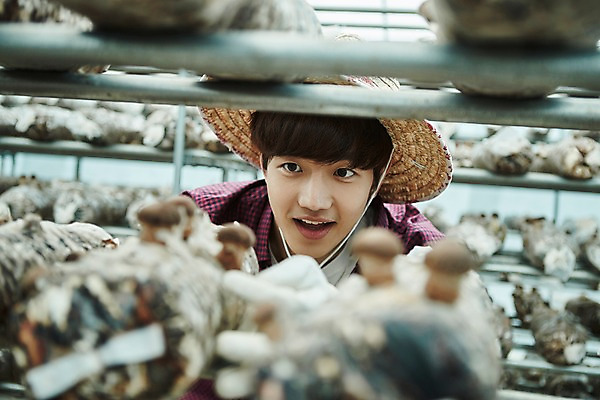 포토 JPG 나무 남자 농업 사진 실내 한명 서기 미소 상반신 20대 성인 앞모습 아웃포커스 농사 한국인 수확 추수 농촌 시골 농부 귀농 송이버섯 비닐하우스 버섯재배 남자한명만 성인남자한명만 소상공인 청년농부 국내포토 양주시 식물 직업 1 산업 뷰포인트 모션 촬영기법 표정 사람 동양인 청년 내부 경제 버섯 상인 경기도 남자만 성인남자만 파일형식