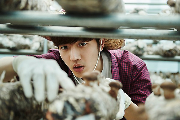 포토 JPG 나무 남자 농업 사진 실내 한명 서기 상반신 20대 성인 앞모습 아웃포커스 농사 한국인 수확 추수 농촌 시골 농부 귀농 송이버섯 비닐하우스 버섯재배 남자한명만 성인남자한명만 소상공인 청년농부 국내포토 양주시 식물 직업 1 산업 뷰포인트 모션 촬영기법 사람 동양인 청년 내부 경제 버섯 상인 경기도 남자만 성인남자만 파일형식