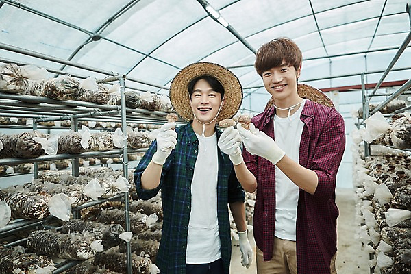 포토 JPG 나무 남자 농업 사진 실내 서기 미소 들기 상반신 20대 성인 두명 앞모습 아웃포커스 친구 농사 한국인 수확 추수 농촌 시골 농부 귀농 송이버섯 비닐하우스 버섯재배 성인남자만 소상공인 청년농부 국내포토 양주시 식물 직업 산업 뷰포인트 관계 모션 촬영기법 표정 사람 동양인 청년 내부 경제 버섯 상인 경기도 남자만 성인만 파일형식