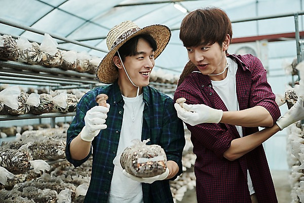 포토 JPG 나무 남자 농업 사진 실내 서기 미소 상반신 20대 성인 두명 앞모습 아웃포커스 친구 농사 한국인 수확 추수 농촌 시골 농부 귀농 송이버섯 비닐하우스 버섯재배 성인남자만 소상공인 청년농부 국내포토 양주시 식물 직업 산업 뷰포인트 관계 모션 촬영기법 표정 사람 동양인 청년 내부 경제 버섯 상인 경기도 남자만 성인만 파일형식