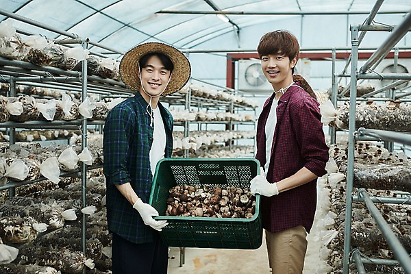 포토 JPG 나무 남자 농업 사진 실내 서기 미소 들기 상반신 20대 성인 두명 앞모습 아웃포커스 친구 상자 바구니 농사 한국인 수확 추수 농촌 시골 농부 귀농 송이버섯 비닐하우스 함 꽃상자 버섯재배 비누갑 성인남자만 소상공인 청년농부 국내포토 양주시 식물 직업 꽃 산업 뷰포인트 관계 모션 촬영기법 표정 사람 동양인 청년 내부 경제 위생용품 버섯 상인 경기도 남자만 성인만 파일형식