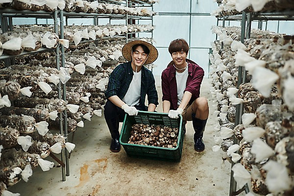 포토 JPG 전신 나무 남자 농업 사진 실내 미소 들기 앉기 상반신 20대 성인 두명 앞모습 아웃포커스 친구 상자 바구니 농사 한국인 수확 추수 농촌 시골 농부 귀농 송이버섯 비닐하우스 함 꽃상자 버섯재배 비누갑 성인남자만 소상공인 청년농부 국내포토 양주시 식물 직업 꽃 산업 뷰포인트 관계 모션 촬영기법 표정 사람 동양인 청년 내부 경제 위생용품 버섯 상인 경기도 남자만 성인만 파일형식