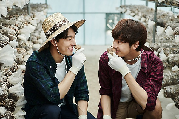 포토 JPG 나무 남자 농업 사진 실내 미소 앉기 상반신 20대 성인 두명 앞모습 아웃포커스 친구 농사 한국인 수확 추수 농촌 시골 농부 향기 냄새 귀농 송이버섯 비닐하우스 버섯재배 성인남자만 소상공인 청년농부 국내포토 양주시 식물 직업 산업 뷰포인트 관계 모션 촬영기법 표정 사람 동양인 청년 내부 경제 버섯 상인 경기도 남자만 성인만 파일형식