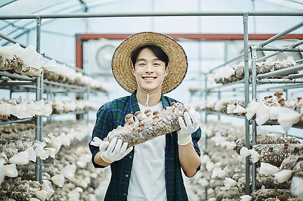 포토 JPG 나무 남자 농업 사진 실내 한명 서기 미소 들기 상반신 20대 성인 앞모습 아웃포커스 농사 한국인 수확 추수 농촌 시골 농부 귀농 송이버섯 비닐하우스 버섯재배 남자한명만 성인남자한명만 청년농부 국내포토 양주시 식물 직업 1 산업 뷰포인트 모션 촬영기법 표정 사람 동양인 청년 내부 버섯 경기도 남자만 성인남자만 파일형식