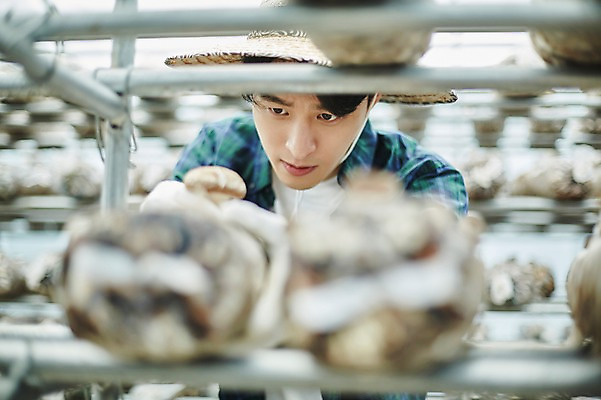 포토 JPG 나무 남자 농업 사진 실내 한명 서기 상반신 20대 성인 앞모습 아웃포커스 농사 한국인 수확 추수 농촌 시골 농부 귀농 송이버섯 비닐하우스 버섯재배 남자한명만 성인남자한명만 소상공인 청년농부 국내포토 양주시 식물 직업 1 산업 뷰포인트 모션 촬영기법 사람 동양인 청년 내부 경제 버섯 상인 경기도 남자만 성인남자만 파일형식