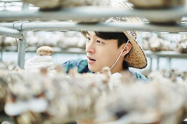 포토 JPG 나무 남자 농업 사진 실내 한명 서기 들기 상반신 20대 성인 앞모습 아웃포커스 농사 한국인 수확 추수 농촌 시골 농부 귀농 송이버섯 비닐하우스 버섯재배 남자한명만 성인남자한명만 소상공인 청년농부 국내포토 양주시 식물 직업 1 산업 뷰포인트 모션 촬영기법 사람 동양인 청년 내부 경제 버섯 상인 경기도 남자만 성인남자만 파일형식