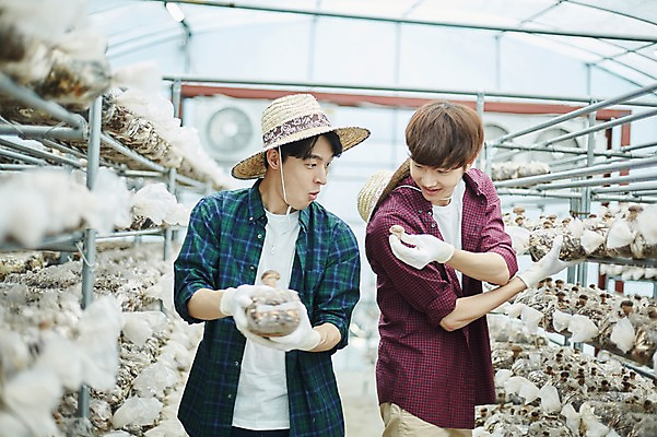 포토 JPG 나무 남자 농업 사진 실내 서기 미소 들기 상반신 20대 성인 두명 앞모습 아웃포커스 친구 농사 한국인 수확 추수 농촌 시골 농부 귀농 송이버섯 비닐하우스 버섯재배 성인남자만 소상공인 청년농부 국내포토 양주시 식물 직업 산업 뷰포인트 관계 모션 촬영기법 표정 사람 동양인 청년 내부 경제 버섯 상인 경기도 남자만 성인만 파일형식