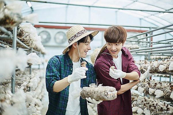 포토 JPG 나무 남자 농업 사진 실내 서기 미소 들기 상반신 20대 성인 두명 앞모습 아웃포커스 친구 농사 한국인 수확 추수 농촌 시골 농부 귀농 송이버섯 비닐하우스 버섯재배 성인남자만 소상공인 청년농부 국내포토 양주시 식물 직업 산업 뷰포인트 관계 모션 촬영기법 표정 사람 동양인 청년 내부 경제 버섯 상인 경기도 남자만 성인만 파일형식