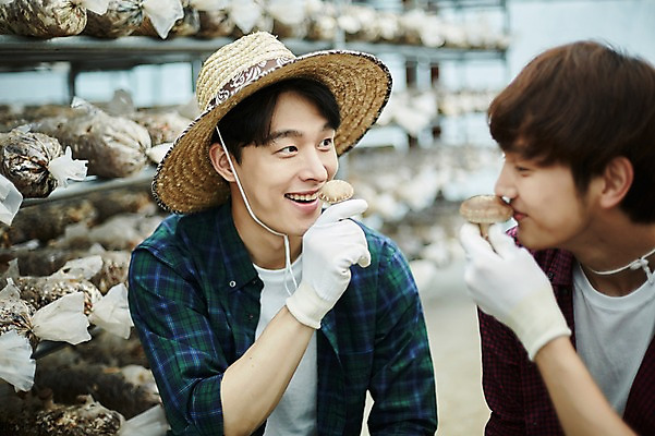 포토 JPG 나무 남자 농업 사진 실내 서기 미소 상반신 20대 성인 두명 앞모습 아웃포커스 친구 농사 한국인 수확 추수 농촌 시골 농부 향기 냄새 귀농 송이버섯 비닐하우스 버섯재배 성인남자만 소상공인 청년농부 국내포토 양주시 식물 직업 산업 뷰포인트 관계 모션 촬영기법 표정 사람 동양인 청년 내부 경제 버섯 상인 경기도 남자만 성인만 파일형식