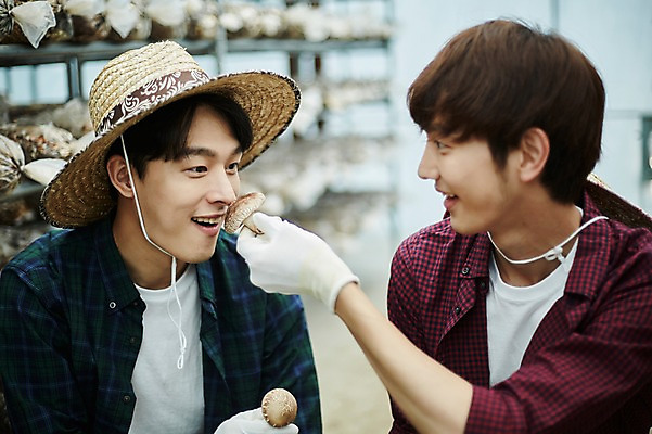 포토 JPG 나무 남자 농업 사진 실내 미소 앉기 상반신 20대 성인 두명 앞모습 아웃포커스 친구 농사 한국인 수확 추수 농촌 시골 농부 향기 냄새 귀농 송이버섯 비닐하우스 버섯재배 성인남자만 소상공인 청년농부 국내포토 양주시 식물 직업 산업 뷰포인트 관계 모션 촬영기법 표정 사람 동양인 청년 내부 경제 버섯 상인 경기도 남자만 성인만 파일형식